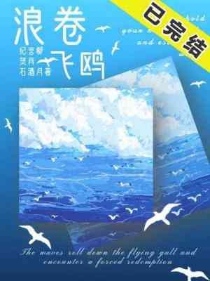 《浪卷飛鷗》