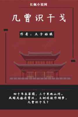 《幾曾識干戈》