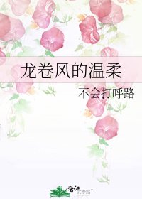 《龍捲風的溫柔》