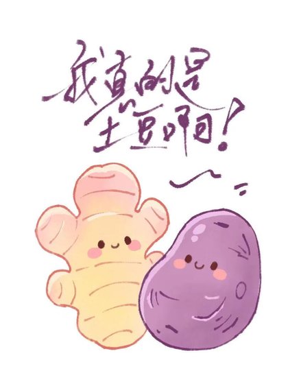 《我真的是土豆闻!》