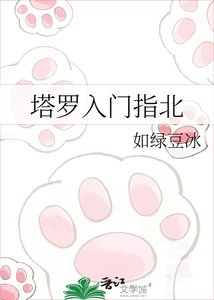 《塔羅入門指北》