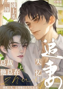 《一撞就上頭!總裁他總在失憶追妻》