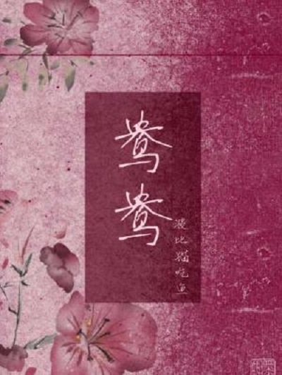 《鴦鴦》
