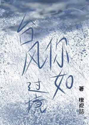 《你如颱風過境》