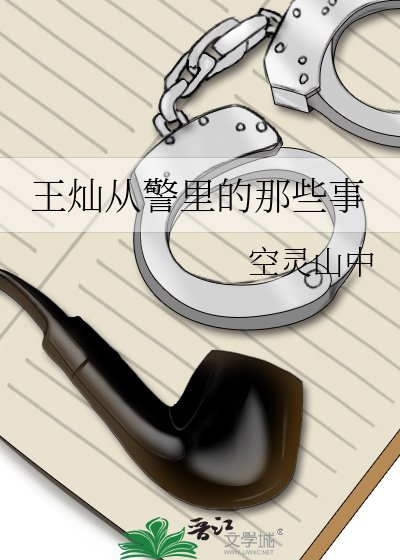 《王灿从警里的那些事》