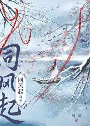《穿书女当,但考科举》