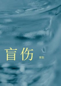 《盲傷/去他個狗屁良心》