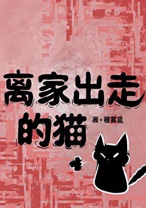 《離家出走的貓》