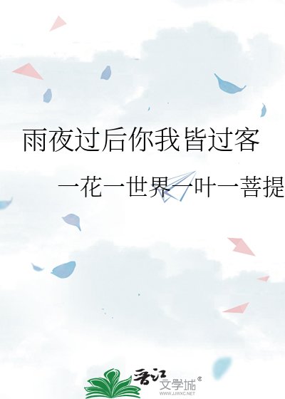 《雨夜過後你我皆過客》
