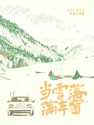 《當雪落滿車窗》