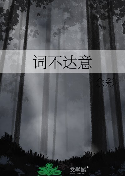 《词不达意》