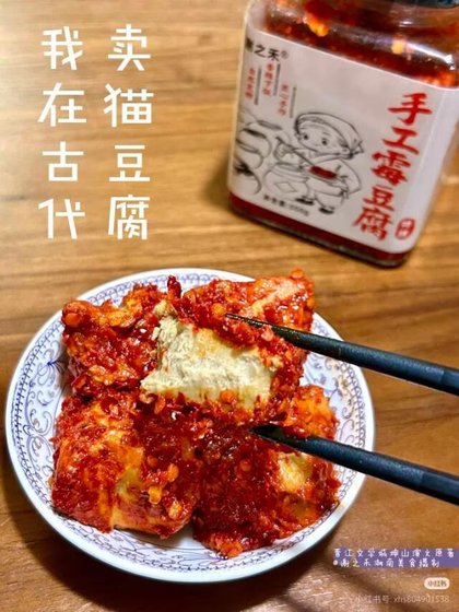 《我在古代賣黴豆腐》