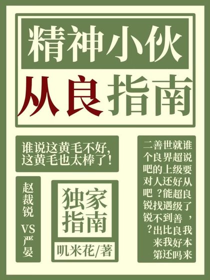 《精神小夥從良指南》