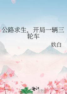 《公路求生,开局一辆三轮车》