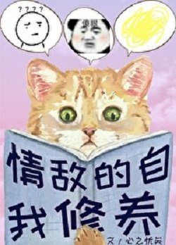 《情敵的自我修養》