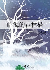 《臨海的森林貓》