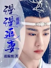 《(陳情令同人)藍湛:漫漫追妻》
