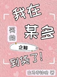 《我在某多買的企鵝到貨了》