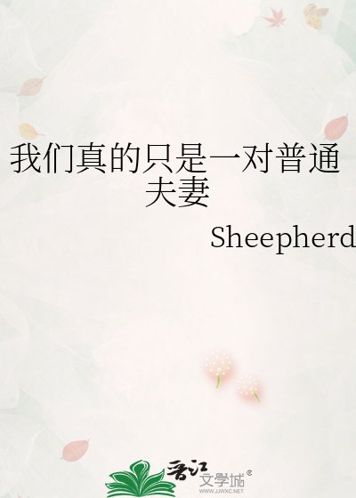 《我們真的只是一對普通夫妻》