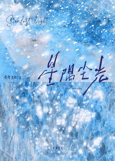 星隅塵光