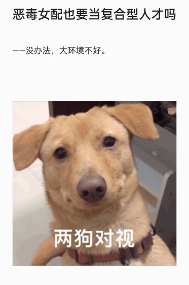 《恶毒女配也要当复合型人才吗》