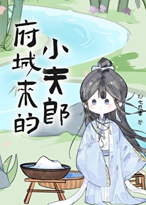 《府城來的小夫郎》
