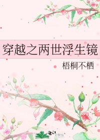 《穿越之两世浮生镜》