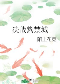 《決戰紫禁城》