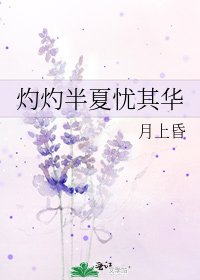 《灼灼半夏憂其華》