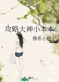 《攻略大神小本本》