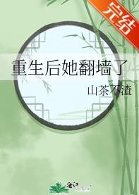 《重生后她翻墙了》