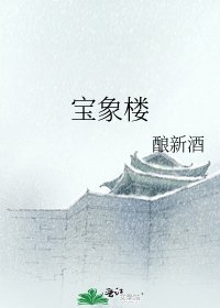 《宝象楼》