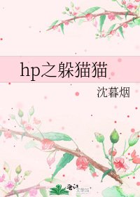 《hp之躲猫猫》
