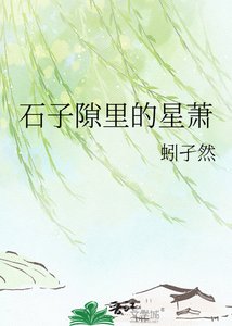 《石子隙裡的星蕭》