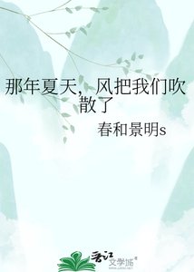 《那年夏天,风把我们吹散了》