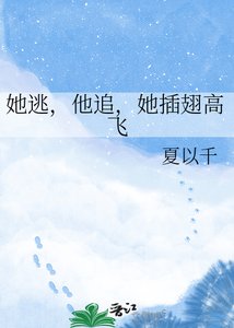 《她逃,他追,她插翅高飞》