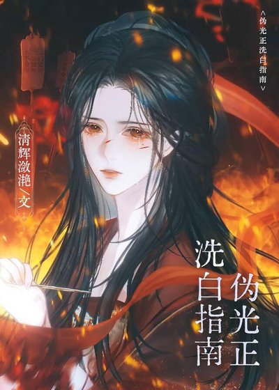 《偽光正洗白指南》