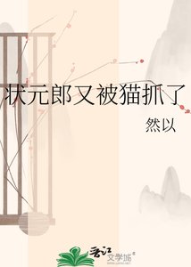 《狀元郎又被貓抓了》