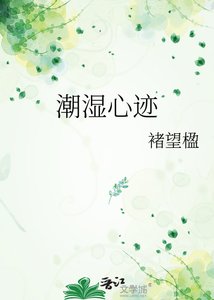 《潮湿心迹》