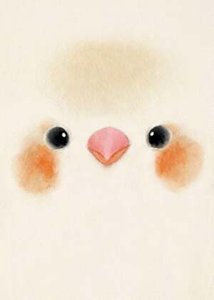 《鳥一直在響》