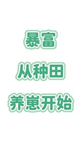 《毛富,从种田养崽开始》