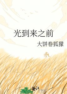 《光到來之前》
