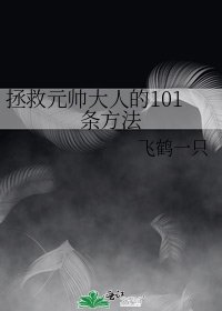 《拯救元帥大人的101條方法》
