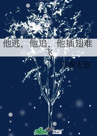 《他逃,他追,他插翅难飞》