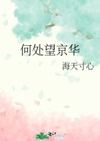 《何處望京華》