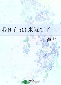 《我還有500米就到了》
