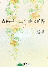 《青秘書,二少他又吃醋了》