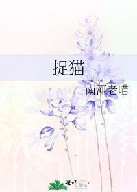 《捉猫》
