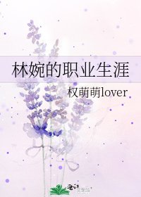 《林婉的職業生涯》