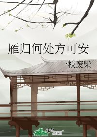 《雁歸何處方可安》